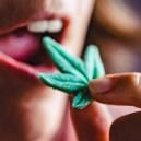 Por Qué Ingerir Cannabis Es Más Fuerte Que Fumarlo