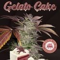 Gelato Cake (T.H.Seeds) feminizada