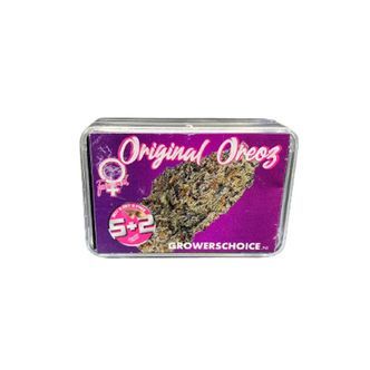 Original Oz (Growers Choice) feminizada