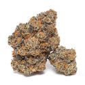 King Louis Garcia (Growers Choice) feminizada