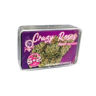 Crazy Roses Fast Version (Growers Choice) feminizada