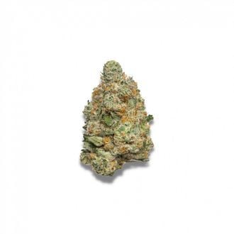 Apple Fritter Autoflower (Growers Choice) feminizada