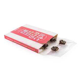 Pack de microdosis Productivity