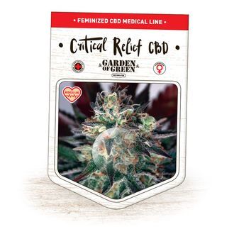 Critical Relief CBD (Garden of Green) feminizada