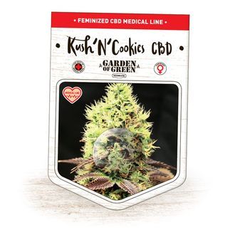 Kush'N'Cookies CBD (Garden of Green) feminizada