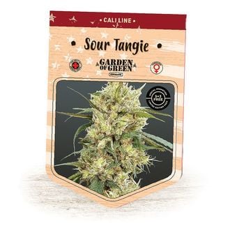 Sour Tangie (Garden of Green) feminizada