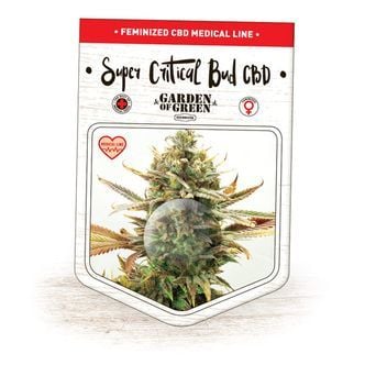 Super Critical Bud CBD (Garden of Green) feminizada
