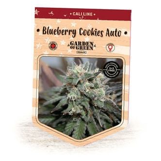 Blueberry Cookies Auto (Garden of Green) feminizada