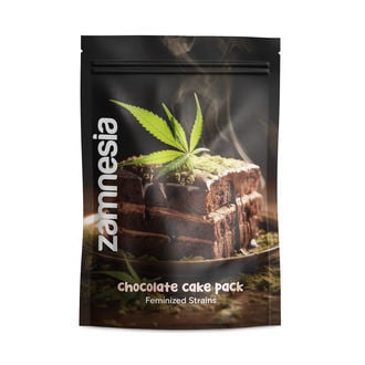 Pack Chocolate Cake - Variedades feminizadas