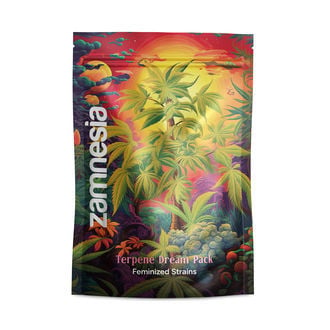 Terpene Dream Pack - Variedades feminizadas