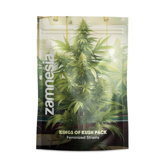 Pack Kings of Kush - Variedades feminizadas