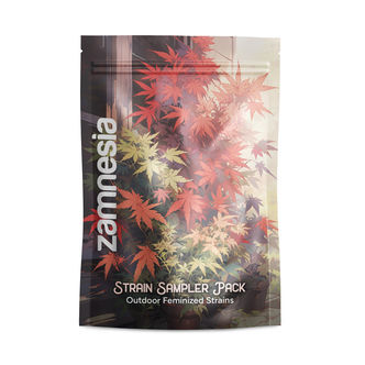 Pack Strain Sampler - Variedades feminizadas de exterior