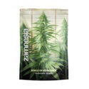 Pack Kings of Kush - Variedades autoflorecientes