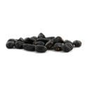 Pack Prickly - Semillas de cactus de mescalina