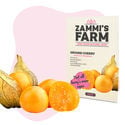 Pack Semillas de Frutas - Zammi's Farm