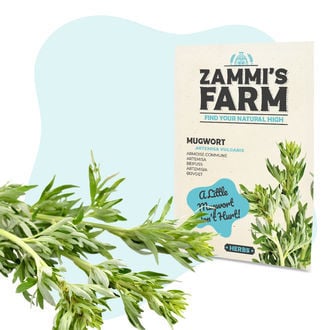 Pack Semillas de Bienestar - Zammi's Farm