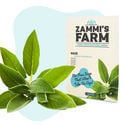 Pack Semillas Medicinales - Zammi's Farm