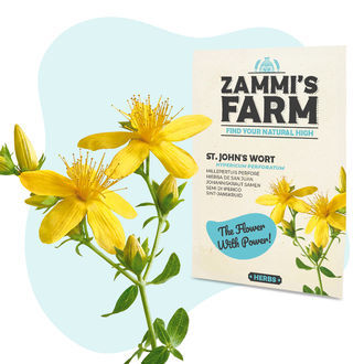 Pack Semillas de Bienestar - Zammi's Farm