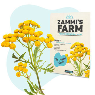 Pack Semillas de Bienestar - Zammi's Farm