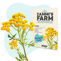 Pack Semillas Medicinales - Zammi's Farm