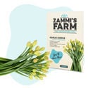 Pack Semillas Exóticas - Zammi's Farm