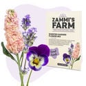 Pack Semillas de Flores - Zammi's Farm