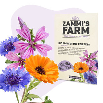 Pack Semillas de Flores - Zammi's Farm