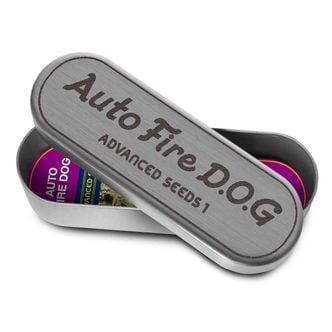 Auto Fire DOG (Advanced Seeds) feminizada