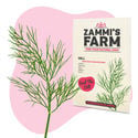 Pack Semillas de Hierbas para Barbacoa - Zammi's Farm