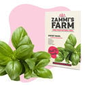 Pack Semillas de Hierbas para Barbacoa - Zammi's Farm