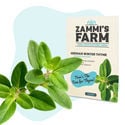 Pack Semillas de Hierbas para Barbacoa - Zammi's Farm