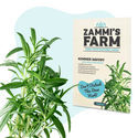 Pack Semillas de Hierbas para Té - Zammi's Farm