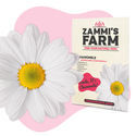 Pack Semillas de Hierbas para Té - Zammi's Farm