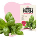 Pack Semillas de Hierbas Culinarias - Zammi's Farm