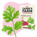 Pack Semillas de Hierbas Culinarias - Zammi's Farm