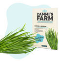 Pack Semillas de Hierbas Culinarias - Zammi's Farm