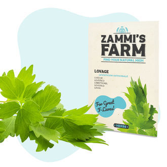 Pack Semillas de Hierbas Culinarias - Zammi's Farm