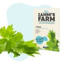 Pack Semillas de Hierbas Culinarias - Zammi's Farm