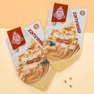 Do-Si-Dos F1 Auto (Zamnesia Seeds) feminizada