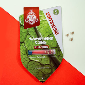Watermelon Candy F1 Auto (Zamnesia Seeds) feminizada