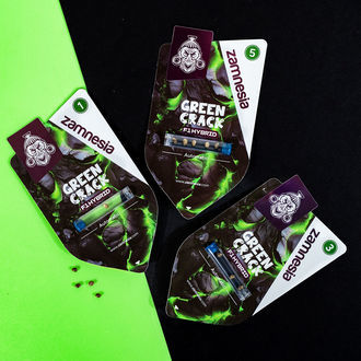 Green Crack F1 Auto (Zamnesia Seeds) feminizada