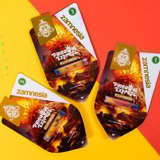 Pineapple Express F1 Auto (Zamnesia Seeds) feminizada