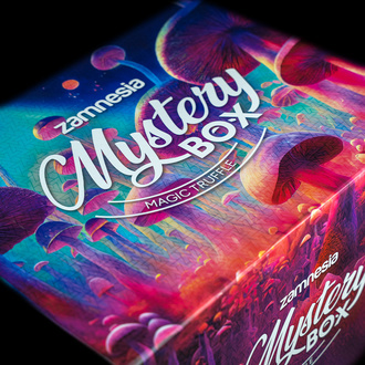 Caja sorpresa de trufas mágicas (Zamnesia)