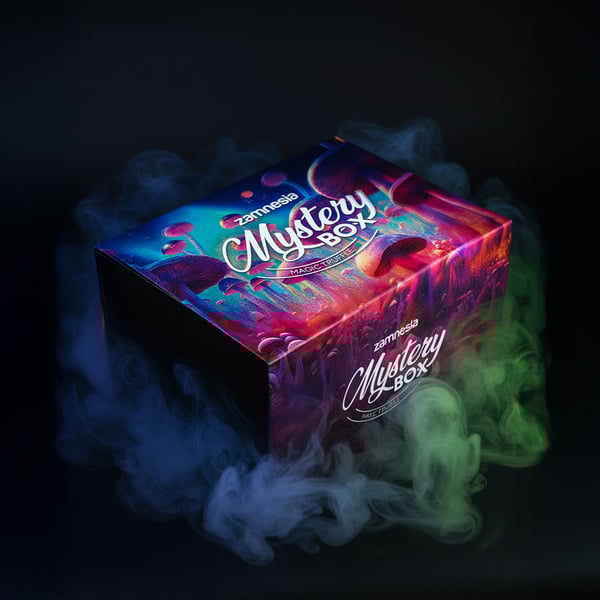 Caja sorpresa de trufas mágicas (Zamnesia)