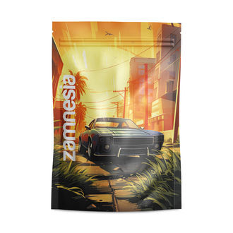 Z-Lock Stash Bags Saint Andreas (Grande)