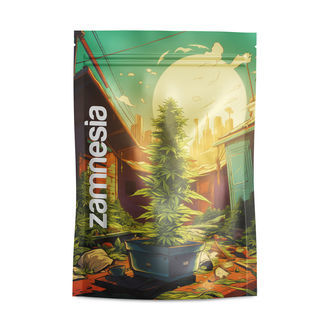 Z-Lock Stash Bags Saint Andreas (Grande)