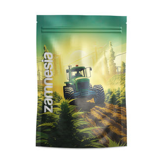 Z-Lock Stash Bags Saint Andreas (Grande)