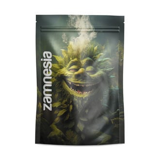Z-Lock Stash Bags Monstrous Monsters (Grande)