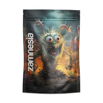 Z-Lock Stash Bags Monstrous Monsters (Grande)