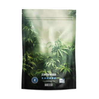 Z-Lock Stash Bags Monstrous Monsters (Grande)